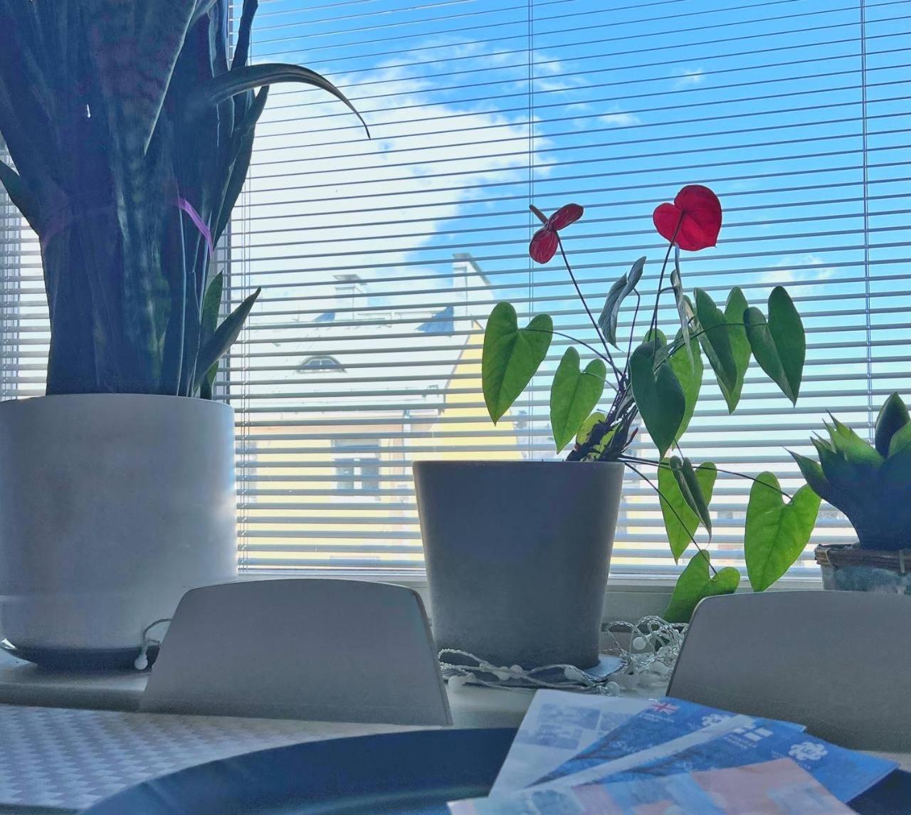 Scandinavian Desing Home 37 City Center In Kamppi Helsingfors Exteriör bild